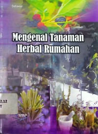 Mengenal tanaman herbal rumahan